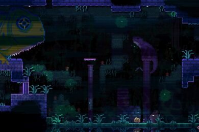 Animal Well Flute Guide